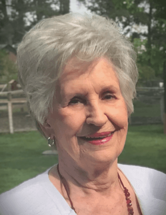 Elizabeth Ann Wilkins Obituary